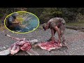 Ten People Compete For 500 000 In A Survival Challenge Some Feast Daily While Others Are Starving