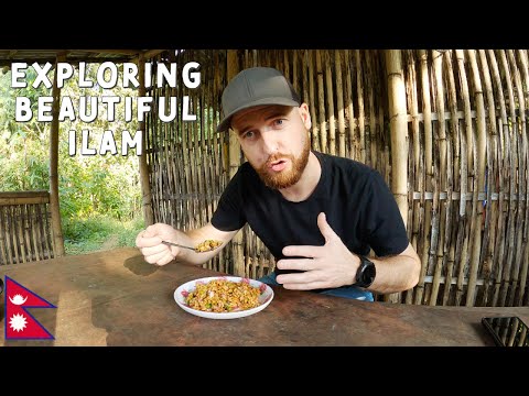 Exploring Beautiful Ilam, Nepal 🇳🇵