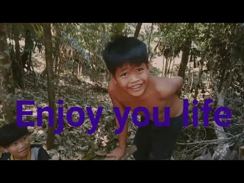Enjoy life in the forest