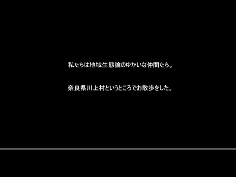 川上村をおさんぽしてみた。