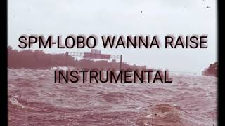 South Park Mexican-Lobo Wanna Raise(Instrumental)