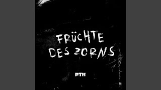Früchte des Zorns Music Video