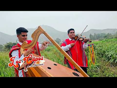 JARANA CON ARPA Y VIOLIN CON QUINTO CHICO Y YEFERSON CASTRO "LOS CAPOS DE LAS JARANA"