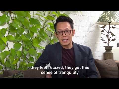 Instagram sensation Jamie's Jungle leads houseplant revolution