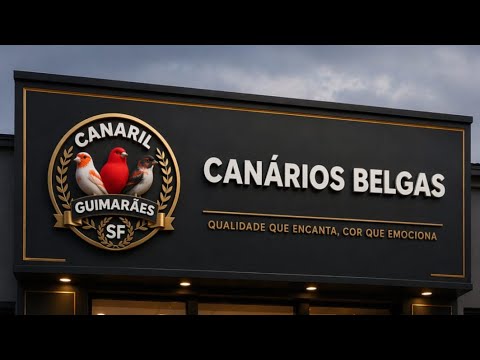 Casais há venda,entrego até 100km de Senador Firmino-MG. #canarilguimaraessf 