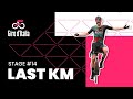 Giro d'Italia 2023 | Stage 14 | Last KM🔻