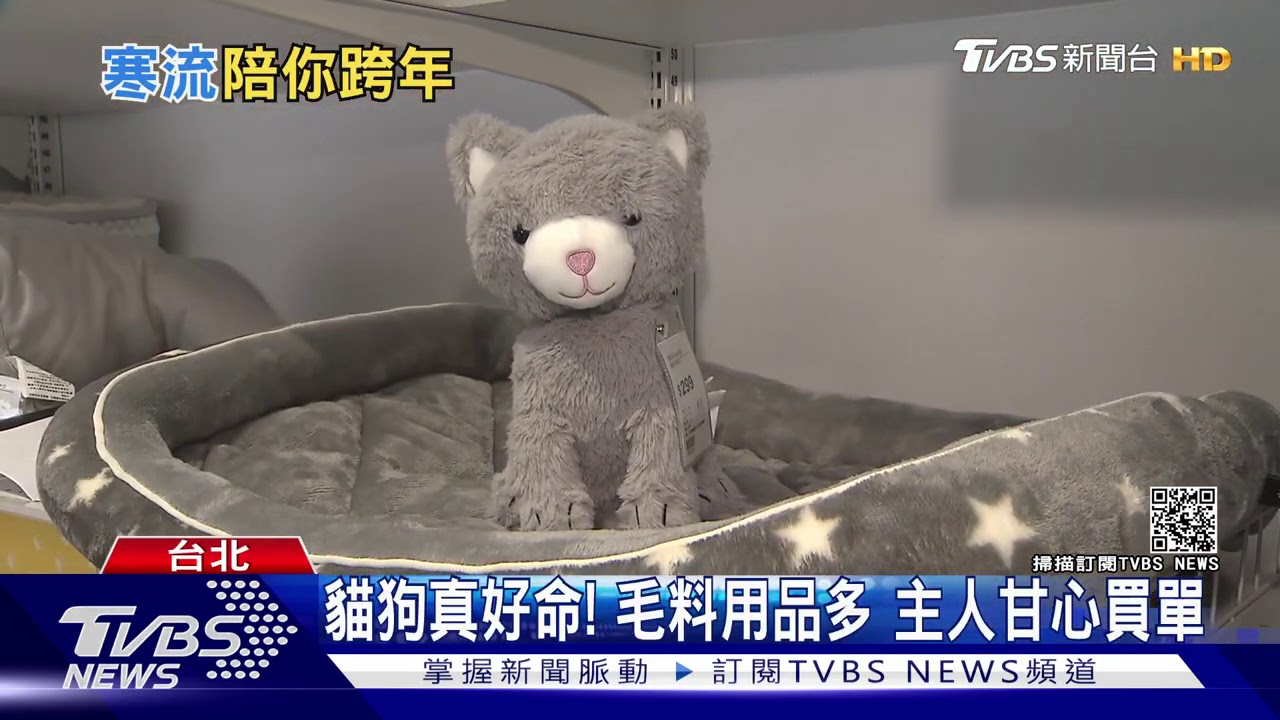 冷天保暖商機 主人、寵物都好眠「兩用毯」夯