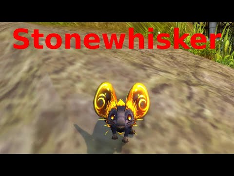 Stonewhisker - pet - wow dragonflight
