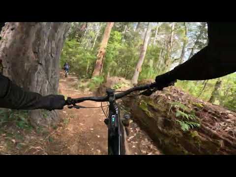 Margaret River MTB Trails - Black Pearl & Big Pine November 2025