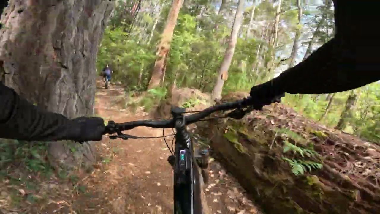 Margaret River MTB Trails - Black Pearl & Big Pine November 2025