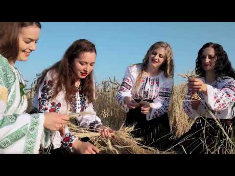 Fetele din Godinești - Dj Vasile (cover)