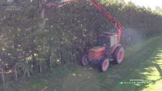 preview picture of video 'Wairarapa Shelter Trimming'