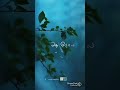 Melody Songs