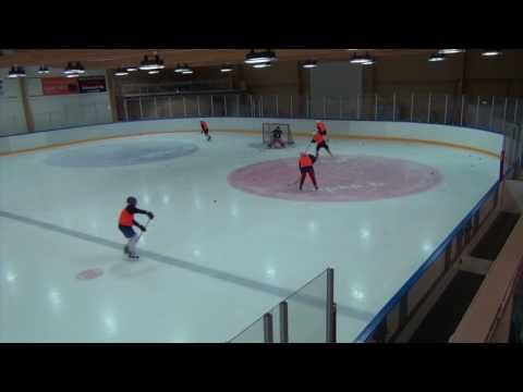 Iholla 2013-14: Team Warrior D2