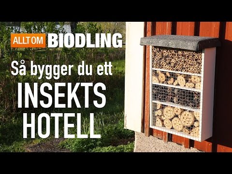 , title : 'Så bygger du ett insektshotell - Pollinering'