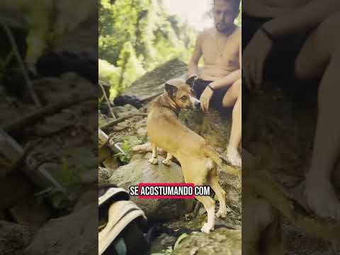 Já conhece a Cachoeira Três Saltos, em Coqueiro Baixo/RS? Então vem com a gente!