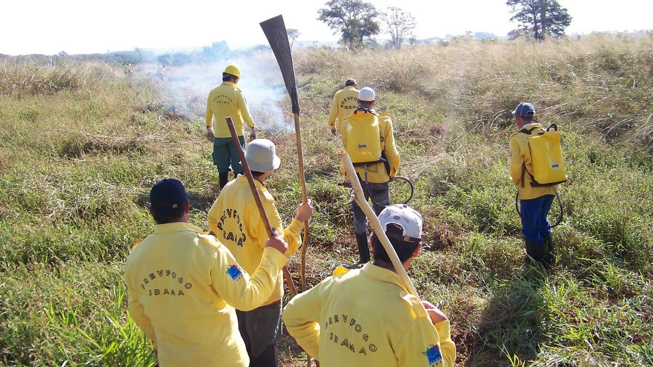 Curso Formação e Treinamento de Brigada de Incêndio Florestal - Combates da Brigada de Incêndio