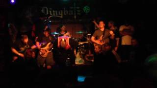 Float Face Down Live, Dingbatz 2016 (Reunion Show)