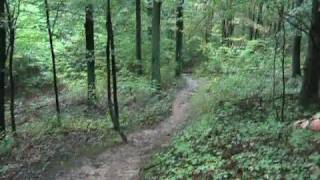 preview picture of video 'Appalachian Trail, Manassas Gap North'