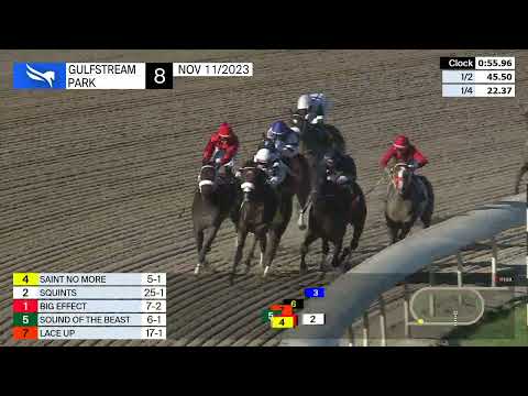 Gulfstream Park November 11, 2023 Race 8