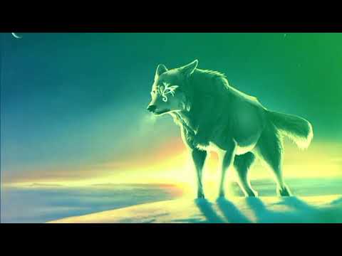 MKJ. NO ExpressioN. Spinner Sunny - Crashing Down