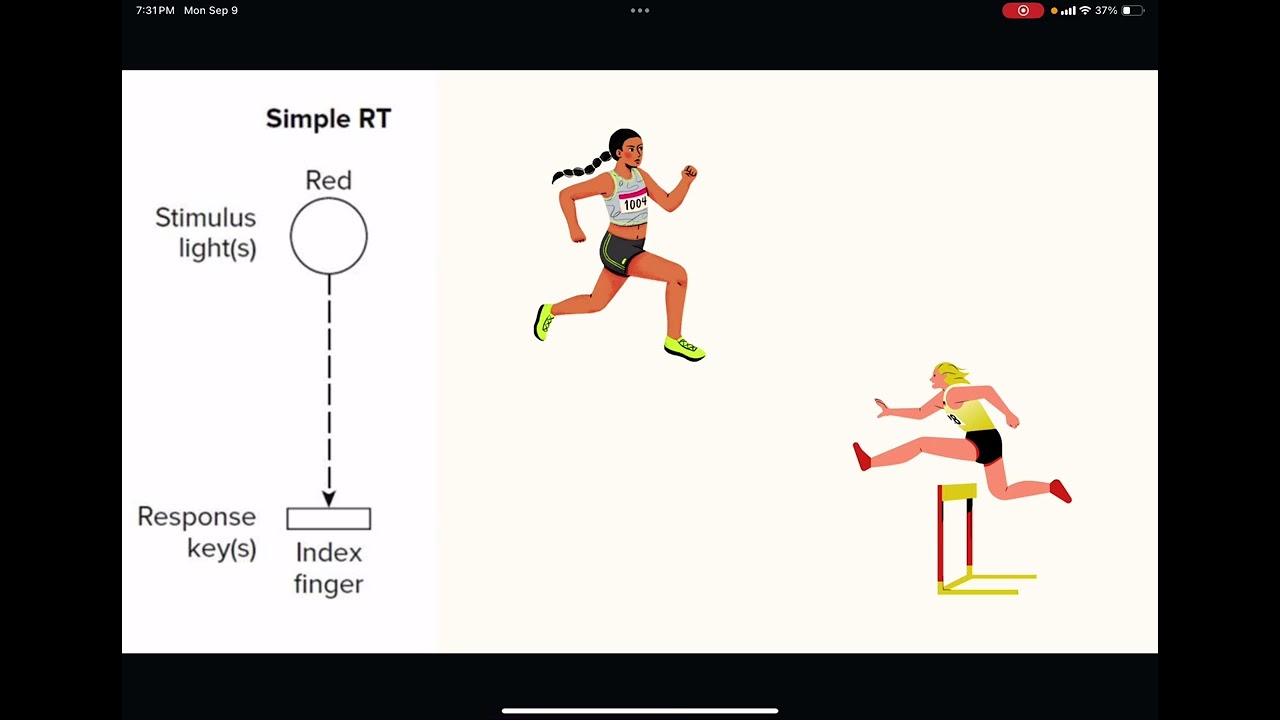Mini Lecture: Chapter 2