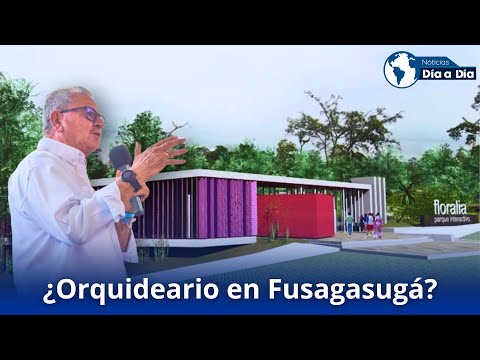 Fusagasugá dejó perder $12 mil millones para ambicioso proyecto turístico
