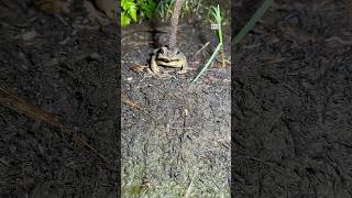 Download lagu Okay #senaragupuk mp3 Download lagu Okay #senaragupuk mp3