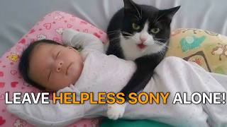 Can't Believe I'm DEFENDING Sony