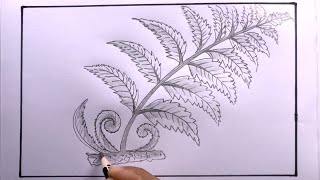 How To Draw Fern Easy/Fern Drawing