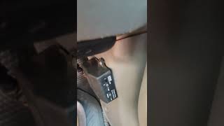 roots windtone horn with Melody maker