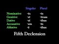 The Fifth Declension