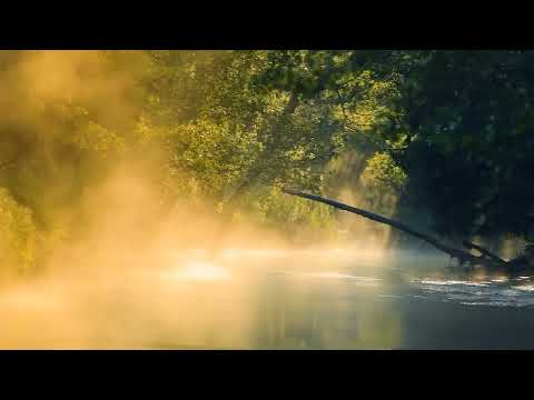 Quero Descer - Willian Nascimento e Bruna karla ♪ +Letra