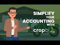 CropBiz: Simplify Your Accounting with One-Click Balance Sheet Solution
