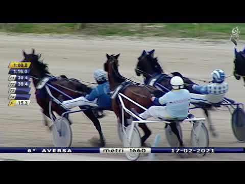 Aversa trotto 17 Febbraio 2021 - 6° Corsa