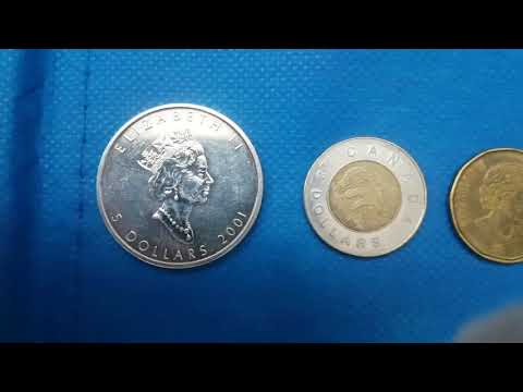 Thrift Store Picking Ep. 11 - COMPLETE GUIDE ON CANADIAN COINS #vintagecollectibles