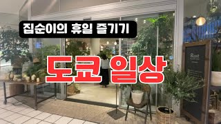도쿄 사는 집순이 | 쉬는 날 뭐하니? 🩵韓国人東京vlog