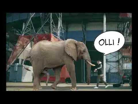 NACpraat 1 3 2018 Vooruitblik naar NAC - Feyenoord