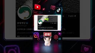 【速報】ホモサピが5日離婚を報告　活動継続を表明