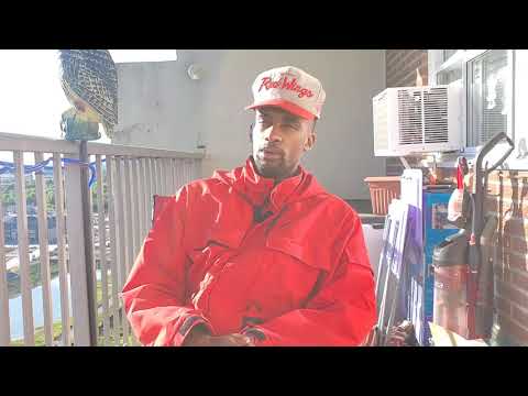 How To Master Life Path 11