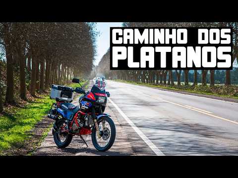 Fui de SAHARA até um lugar TOP