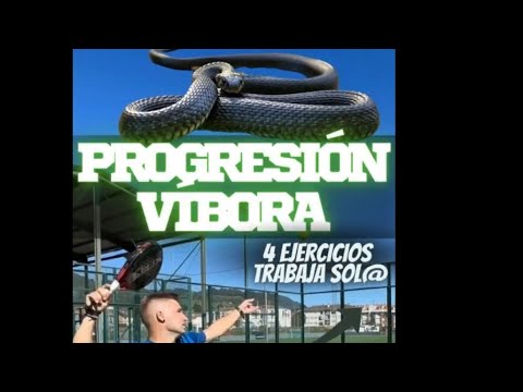 🎾 Ejercicios para MEJORAR tu VÍBORA 🐍