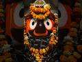 Lord Jagannath ️ Jagannath Rathyatra Krishna Shorts