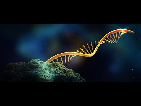 Riboenzimas para entender mundo de RNA - Ciência em Pauta 26