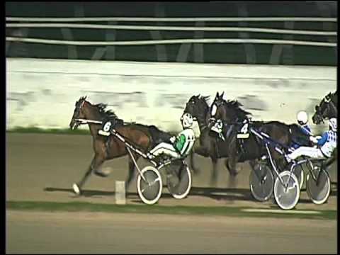 Trotto 08/11/2015 - 8° corsa TRIS