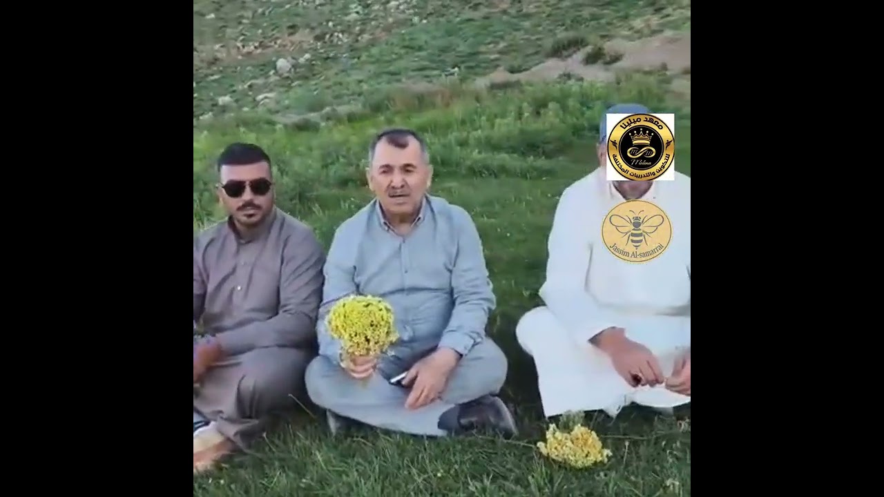 كردمند يجمع مربي نحل العراق خيمة 6