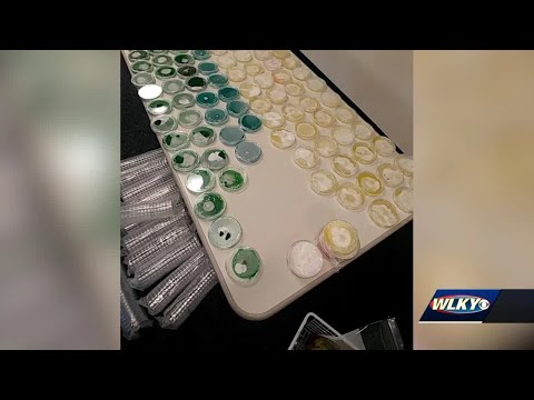 Police: Indiana couple busted for growing, dealing psychedelic mushrooms