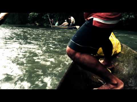 Regnskoven reddes af mennesker