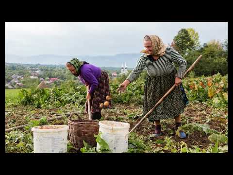 SARA BUNA SI MAS DUCE - VLASKA IZVORNA PESMA, SELO REKA, KLJUC (VlaskiMelos)