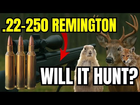 .22-250 Remington - Will It Hunt? [Bullet Drop, Scope Dials, and MORE]